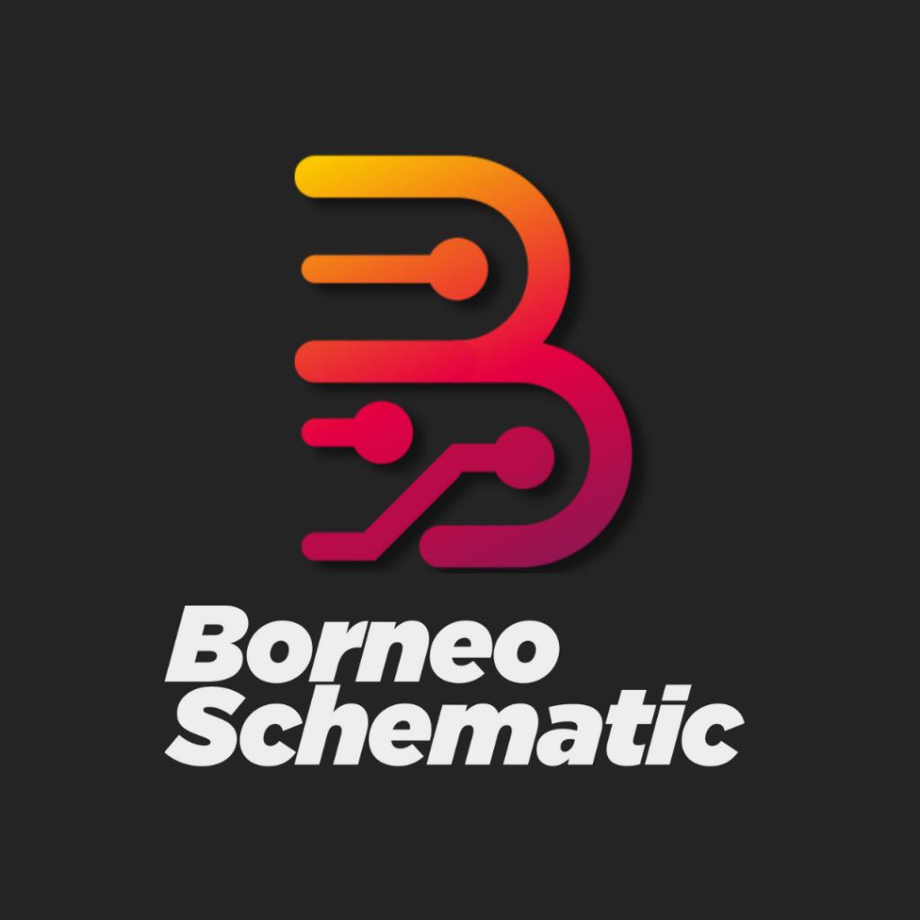 Borneo Schematics 2 Users (6 Months) Activation/Renew Code⚡