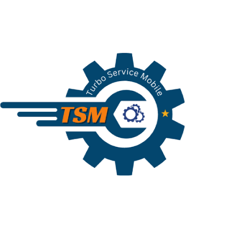 TSM TOOL/TSM PRO EDITION RENT  { Auto Username  Password  [Time:  2 hour] } 